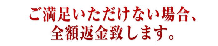 �W���W�����t�g�@��̃V��